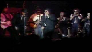 The Blues Brothers Live Video  Soul Man [upl. by Aleakim]