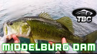 Middelburg Dam Bass Fishing [upl. by Nohtahoj]