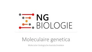 Moleculaire genetica  moleculair biologische basistechnieken  VWO [upl. by Yuhas]