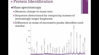 023Mass Spectroscopy [upl. by Joete]