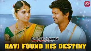 Love at First Sight  Vettaikaaran  Vijay  Anushka Shetty  Sun NXT [upl. by Aznola345]