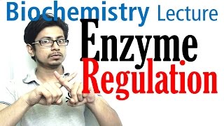 Enzyme regulation [upl. by Basset521]