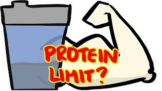 How Much Protein Can Your Body Absorb Per Meal [upl. by Nuawed139]