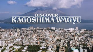 DISCOVER “ KAGOSHIMA WAGYU ”（English version） [upl. by Anotyad]