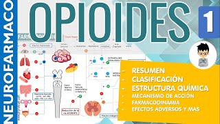 OPIOIDES ESCALERA TERAPEUTICA RESUMEN Clasificaciones Estructura Receptores Farmacología 1 [upl. by Spector873]