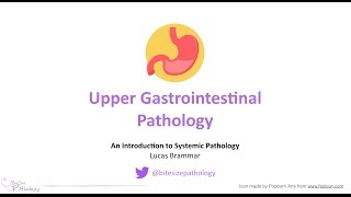 Upper Gastrointestinal GI Pathology  Introduction to Systemic Pathology [upl. by Michaeu220]