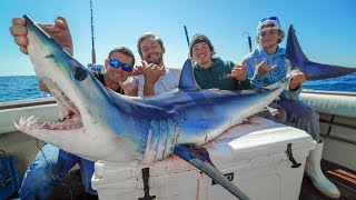 Mako SHARK Catch Clean Cook Offshore Fishing New York [upl. by Drarrej]