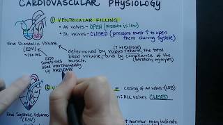 Cardiac Cycle  Cardiovascular Physiology [upl. by Coster]