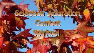 SELECTION FORTES CHANSONS DADORATION DU COMBAT SPIRITUEL VOL 2 [upl. by Yeorgi]