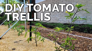 3 DIY Tomato Trellis Ideas Perfect for ANY Budget 🍅 [upl. by Aleek]