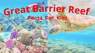 Great Barrier Reef Facts For Kids [upl. by Nadine]