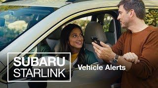 Boundary Speed Curfew Alerts 2019 SUBARU STARLINK Features [upl. by Skricki]