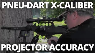 The Comprehensive Guide To PneuDart XCaliber Accuracy [upl. by Langham]