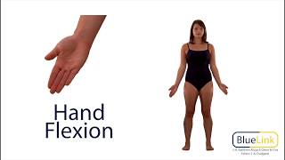 Hand Flexion Extension Hyperextension [upl. by Sager281]