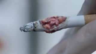 AntiSmoking Ads Show Tumours On Cigarettes [upl. by Reivazx]