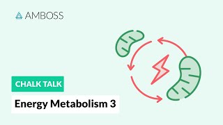 Energy Metabolism  Part 3 Regulation of Glycolysis [upl. by Orson235]