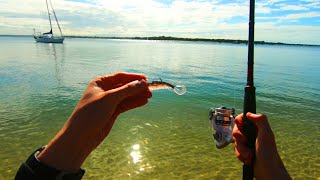 Fishing Soft Plastics On Clear Water Beach [upl. by Feenah]