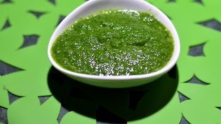 Mint Chutney  Gurus Cooking [upl. by Forrer]