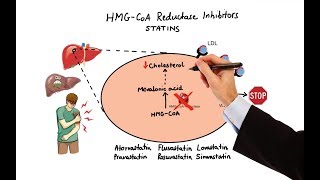 How does Simvastatin Statins work [upl. by Anitnoc541]