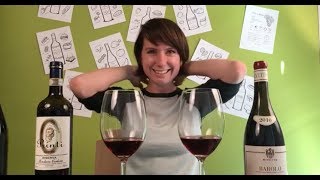 Two Nebbiolo Wines  Barolo vs Roero Riserva [upl. by Amiaj]