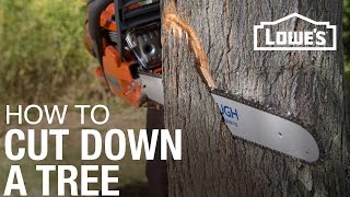 How To Cut Down A Tree [upl. by Nelyt]