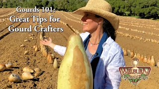 Gourds 101 A Quick Start Guide to Gourds [upl. by Maryly374]