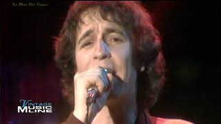 Rino Gaetano  A mano a mano Live 1981 [upl. by Abixah]