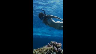 Snorkeling Great Barrier Reef Australia Travel Vlog [upl. by Elsinore]