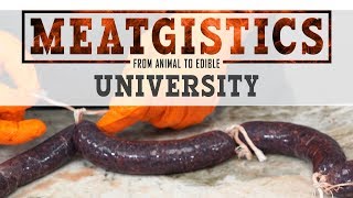 Blood Sausage Boudin Noir Recipe  Specialty Sausage 104 [upl. by Ammej]