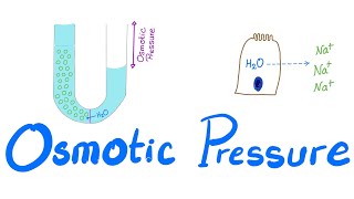 Osmotic Pressure  Osmosis  Colligative property  Physiology Series [upl. by Dombrowski]