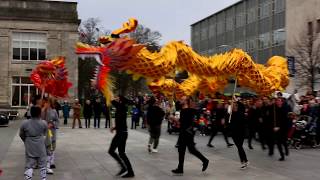 Dragon Dance for Chinese New Year 2020 [upl. by Maccarone]