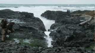 Agate Hunting on the Oregon Coast [upl. by Nnylyam]