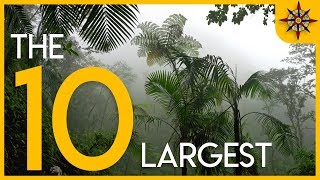 The 10 Largest Forests on Earth [upl. by Etteniuqna824]