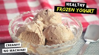 Homemade Frozen Yogurt HEALTHY CREAMY NO MACHINE REQUIRED [upl. by Chucho]