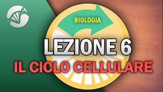 BIOLOGIA  Lezione 6  Il Ciclo Cellulare [upl. by Ettelloc]