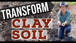 How Do I Improve Heavy Clay Soil in the Garden [upl. by Knuth692]