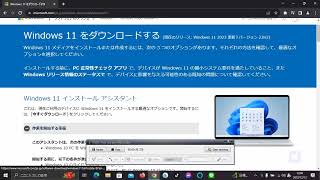 Windows 11 ダウンロードできない [upl. by Mosera]