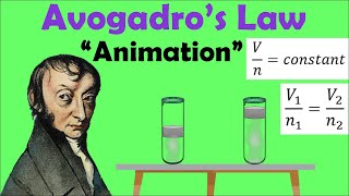 AVOGADROS LAW  Animation [upl. by Yenahteb]