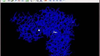 3D Models of Enzymes  English [upl. by Eidoj]