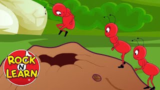 Ants Go Marching Song with Lyrics  Rock N Learn [upl. by Eegnat833]