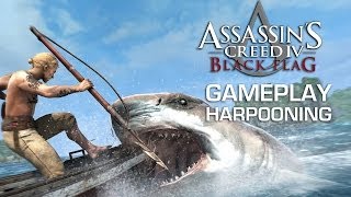 Harpooning Sharks and Whales  Assassins Creed IV Black Flag Gameplay [upl. by Hamford]