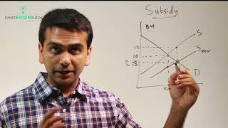 Microeconomics Subsidy [upl. by Eigram]