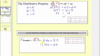 The Distributive Property L24 [upl. by Cram]