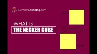 What is the Necker Cube Who Discovered it and Why is it Important [upl. by Cordle]