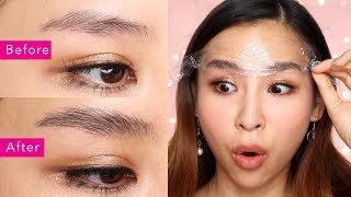 DIY Brow Lamination  The Newest Brow Trend  TINA TRIES IT [upl. by Iror]