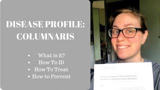 Disease Profile Columnaris [upl. by Leiva]