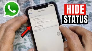 How to Hide WhatsApp Status from Specific Contacts on iPhone [upl. by Cioffred]