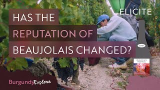 What is Beaujolais Wine Breaking Down The Region [upl. by Devy]