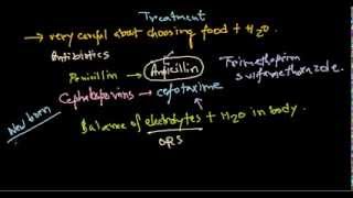 Escherichia coli treatment [upl. by Kurtz993]