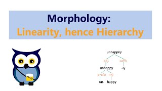 Morphology Linearity hence Hierarchy [upl. by Lola]